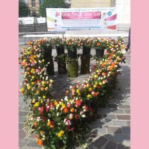 "Une fleur, une vie" - 4 mai 2013