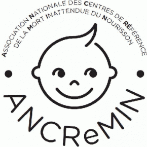 logo_ANCREMIN