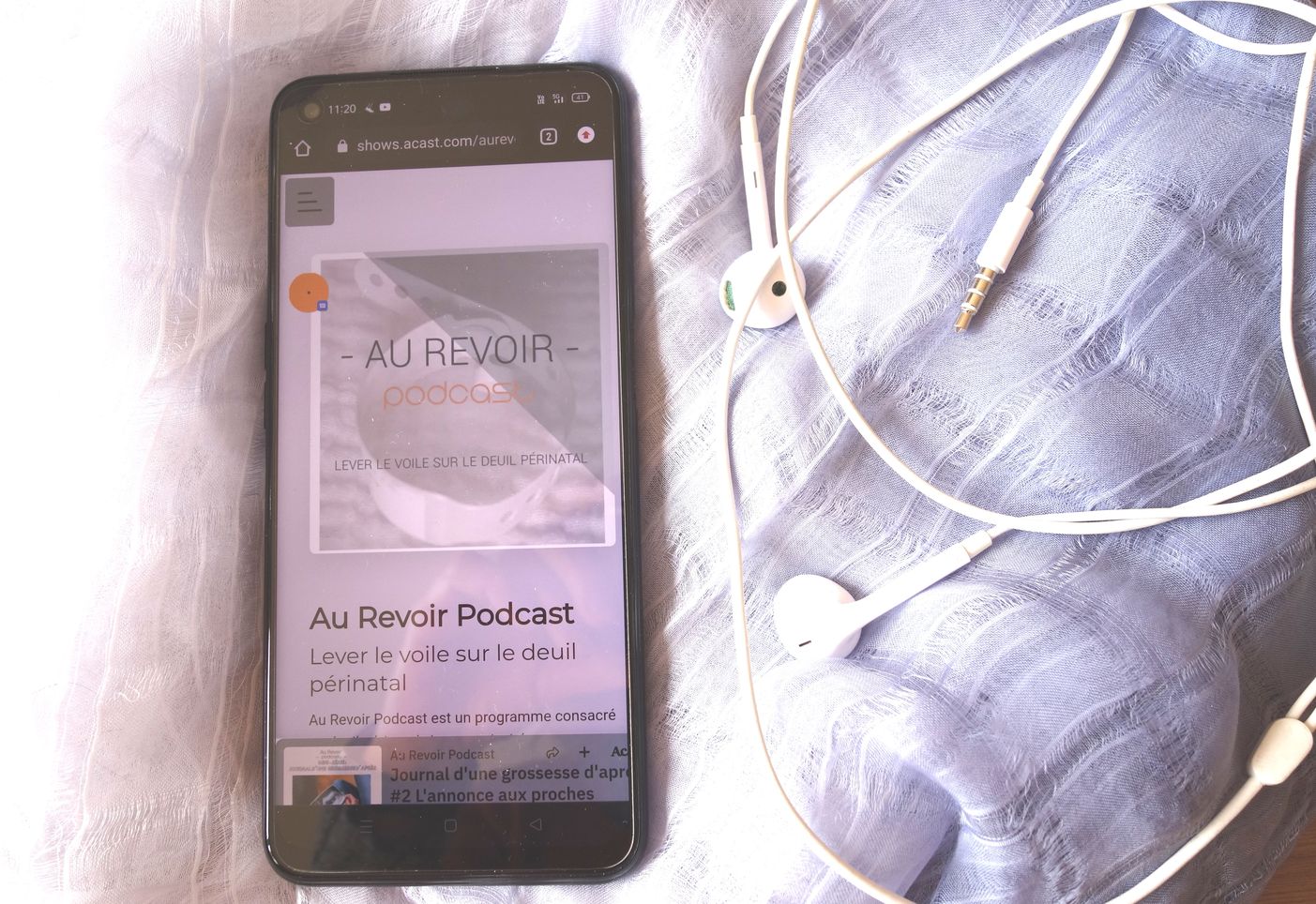 Visioconférence  : « Deuil Périnatal, Des Podcasts Pour Se Reconstruire ? »