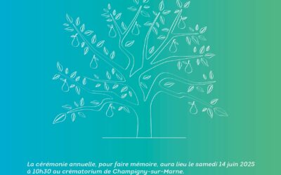 Des cérémonies en hommage aux tout-petits à Champigny-sur-Marne