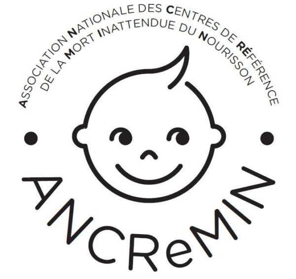 Logo ANCREMIN