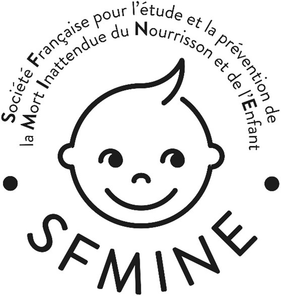 logo SFMINE