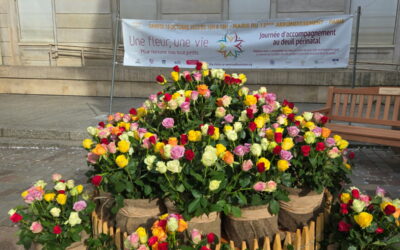 Une fleur, une vie : 900 roses en mémoire de nos tout-petits